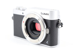 Panasonic Lumix DC-GX800