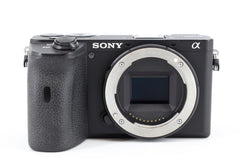 Sony Alpha A6600