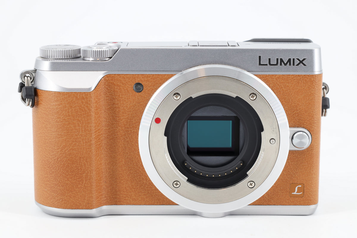 Panasonic Lumix DMC-GX80