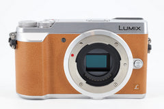 Panasonic Lumix DMC-GX80