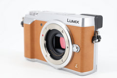 Panasonic Lumix DMC-GX80