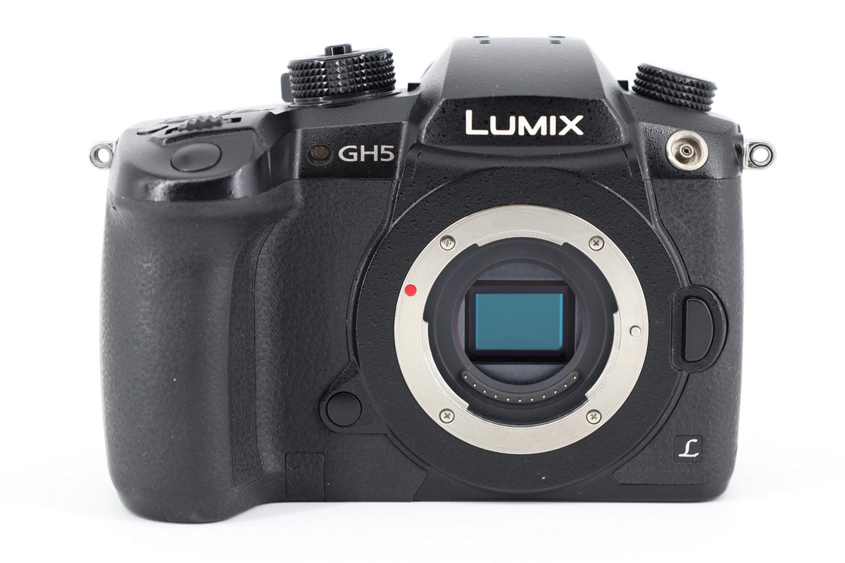 Panasonic Lumix DC-GH5
