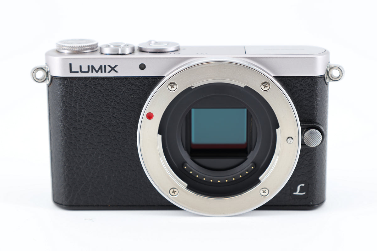 Panasonic Lumix DMC-GM1