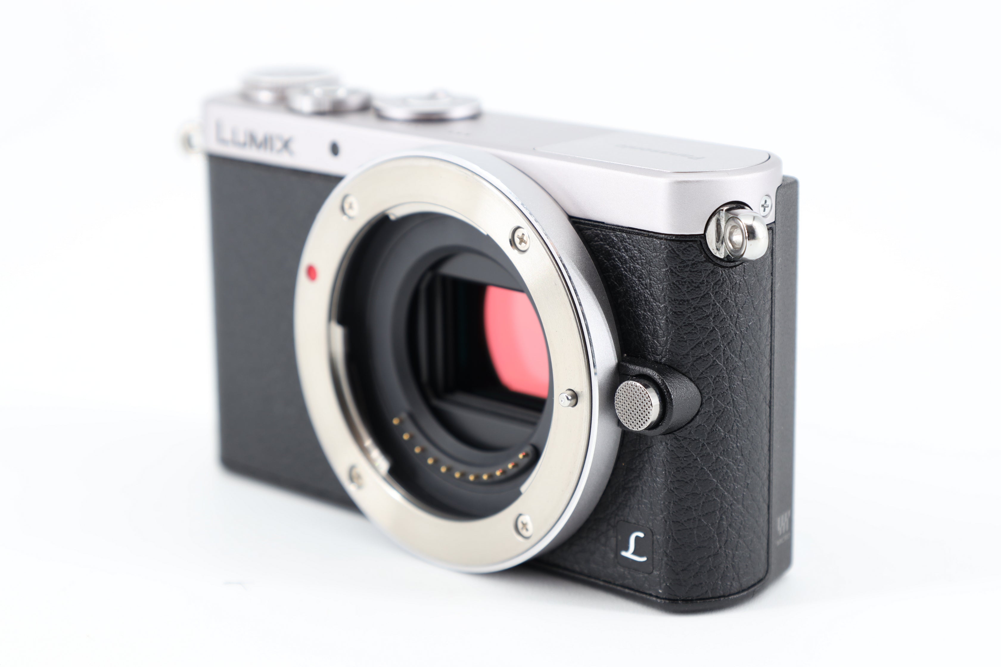 Panasonic Lumix DMC-GM1