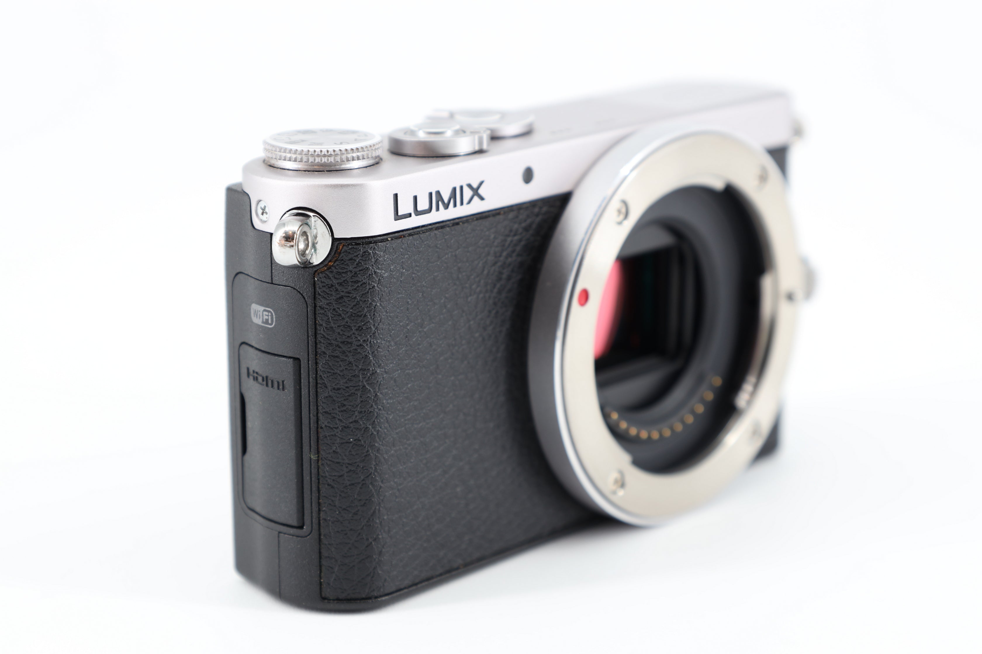 Panasonic Lumix DMC-GM1